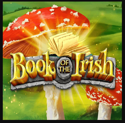 Book Of The Irish